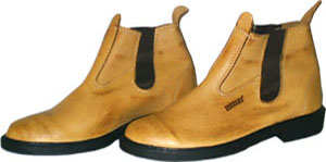 bota agropecuaria